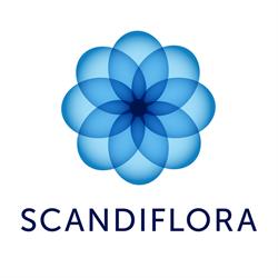 Scandiflora B.V.