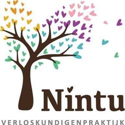 Verloskundigenpraktijk Nintu