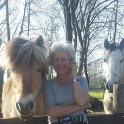 les2chevaux