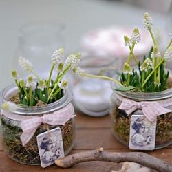 BROOKERGARDEN