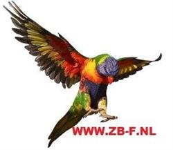 Zwijnenberg Birdfarm