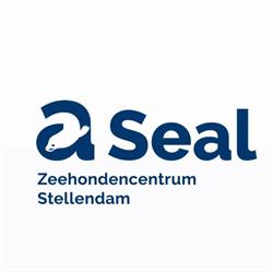 A Seal Stellendam