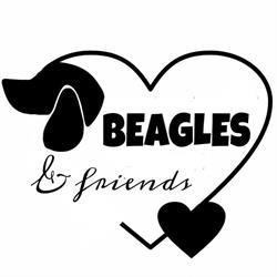 Beagles & Friends