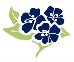 Purity Herbs Benelux