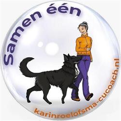 Hondenschool De Jolige Groentjes