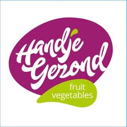 Blauwe bessenplantage Handje Gezond