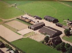 Paardenpension de Burghoeve
