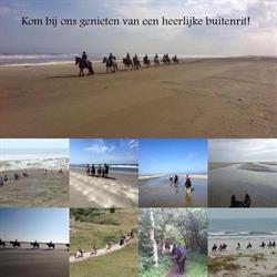 Paardrijden op Schiermonnikoog