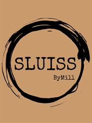 Sluiss By Mill
