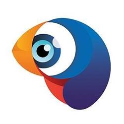 Bigbird Media