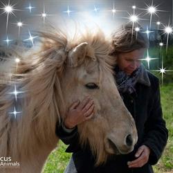 paard en kind