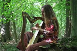Harpstudio Harppiness