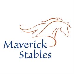 Pensionstal Maverick Stables te Lelystad