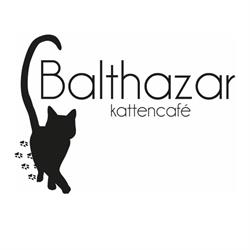 Kattencafé Balthazar