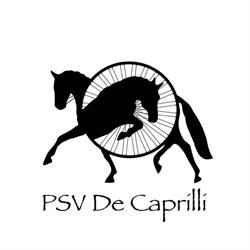 Paardensportvereniging De Caprilli