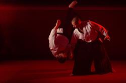 Aikido Aikikai Den Helder