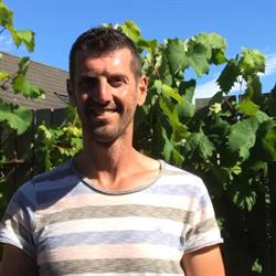 Remco Hofstee Hovenierswerkzaamheden