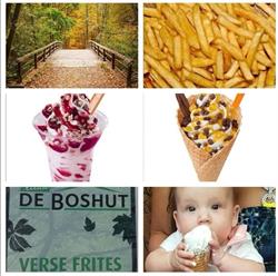 Frituur 'De Boshut'