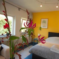 Elan B+B