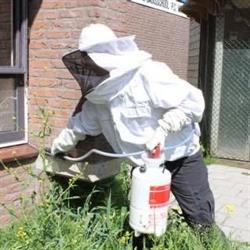 OBS - Ongedierte BestrijdSter