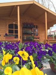 Plantenshop 16hoven