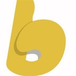 Bravo Bouw