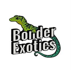 Bonder Exotics