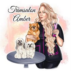 Trimsalon Amber
