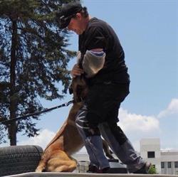 K9-Extreme