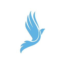 RISE Hypnotherapie