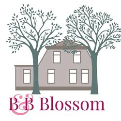 B&B Blossom