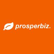 Prosperbiz-websites