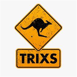 Trixs Trampolinepark