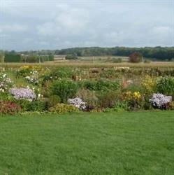 Pluktuin de Bosrand