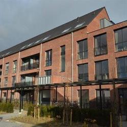 Reinaerde Singelhof