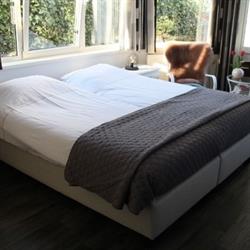 B&B Carpe Diem Hulst
