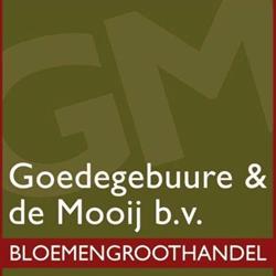 Goedegebuure & de Mooij b.v. Tilburg