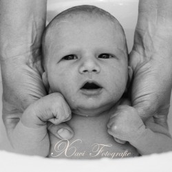 Xavi Fotografie