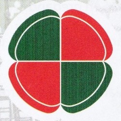 Pizzeria Buena Fortuna
