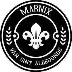 Marnix van Sint Aldegonde