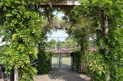 Tennispark Buitenveldert - Tennisschool - BV