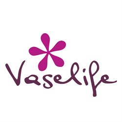 Vaselife International B.V.