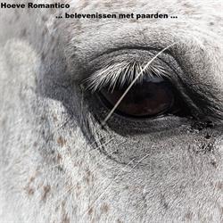 Hoeve Romantico