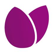 iTulp internet services