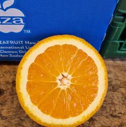 Verkuijlen van de Ven Groente en Fruit