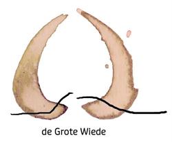 De Grote Wiede