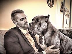 Cane corso kennel Tutto e possibile