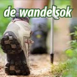 de Wandelsok