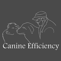 Canine Efficiency