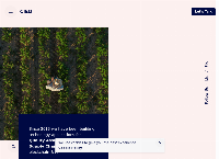 Website van CIED BV 